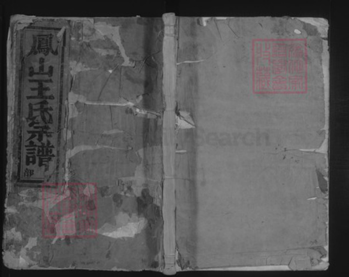 浙江省金华市王氏族谱-凤山王氏宗谱.pdf电子版插图 浙江省金华市王氏族谱-凤山王氏宗谱.pdf电子版插图