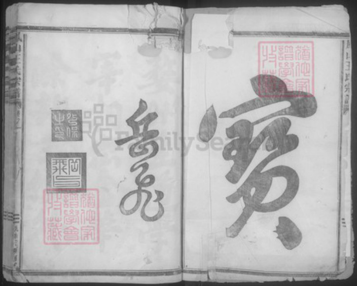 浙江省金华市王氏族谱-凤山王氏宗谱.pdf电子版插图2 浙江省金华市王氏族谱-凤山王氏宗谱.pdf电子版插图2