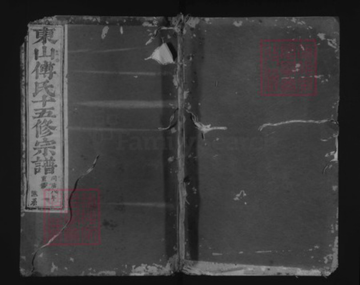 浙江省金华市傅氏族谱-东山傅氏十五修宗谱.pdf电子版插图 浙江省金华市傅氏族谱-东山傅氏十五修宗谱.pdf电子版插图