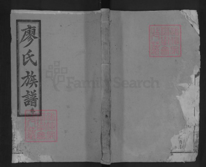 湖南省常德市汉寿县廖氏世彩堂族谱-廖氏四修族谱.pdf电子版