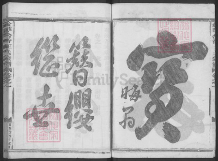 浙江省金华市金东区塘雅镇王氏族谱-金华含香王氏宗谱.pdf电子版插图2