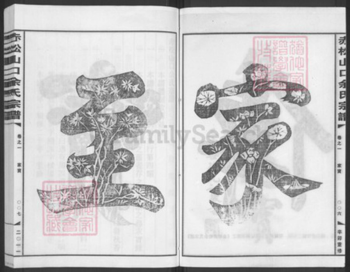 浙江省金华市金东区赤松镇余氏族谱-赤松山口余氏宗谱.pdf电子版插图4