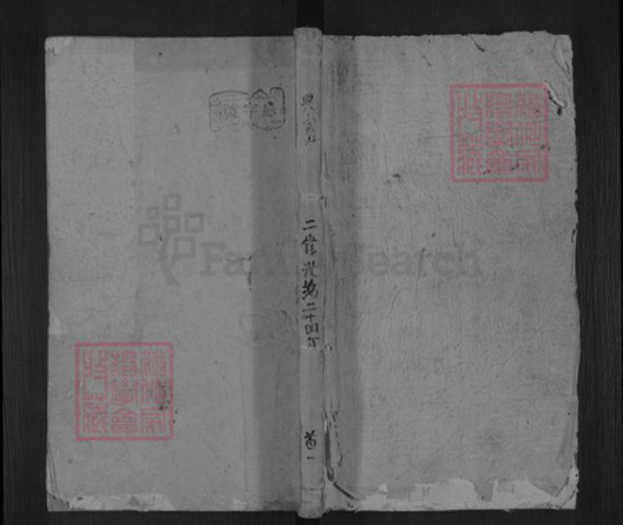 湖南省邵阳市洞口县洞口李氏陇西堂族谱-李氏续修族谱.pdf电子版