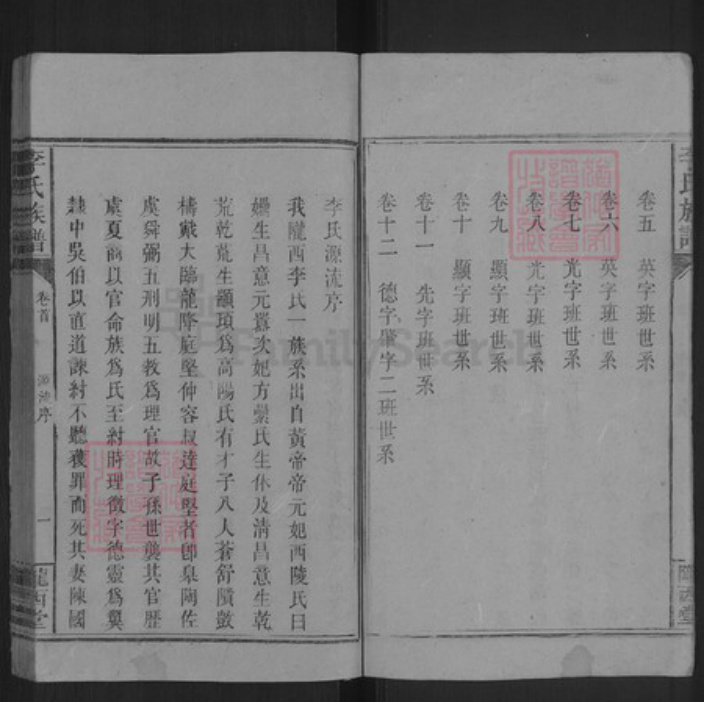 湖南省邵阳市洞口县洞口李氏陇西堂族谱-李氏续修族谱.pdf电子版插图4