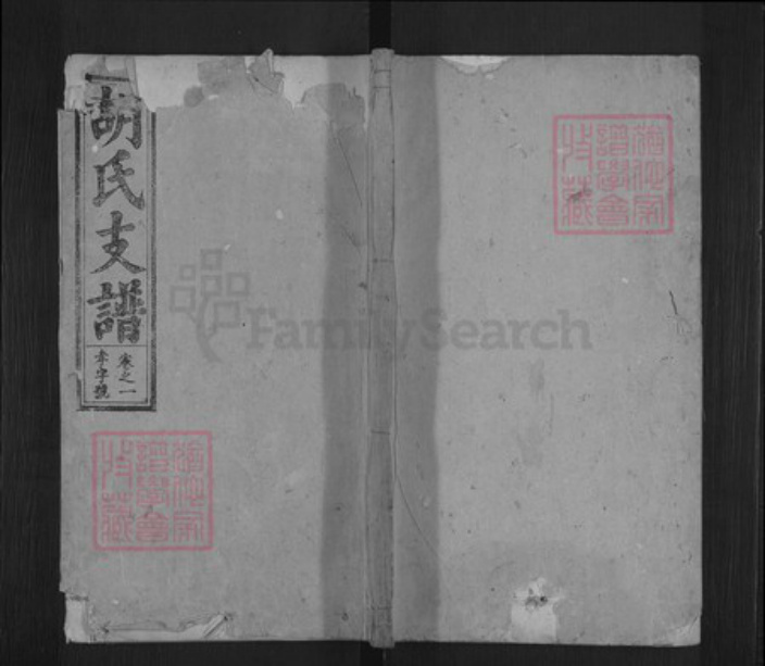 安徽省安庆市桐城市胡氏经麟堂族谱-胡氏支谱.pdf电子版插图 安徽省安庆市桐城市胡氏经麟堂族谱-胡氏支谱.pdf电子版插图