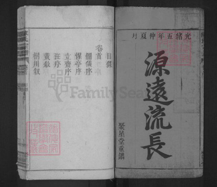 安徽省宿州市泗县草沟镇陈氏聚星堂族谱-陈氏宗谱.pdf电子版插图1