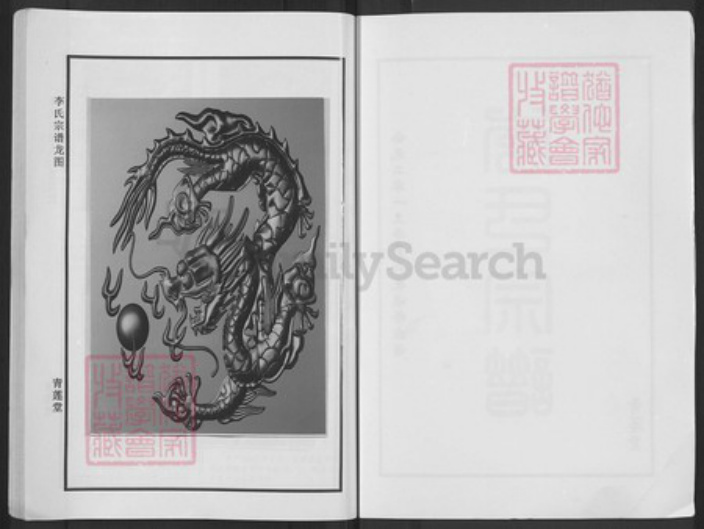 湖北省黄冈市武穴市李氏青莲堂族谱-李氏宗谱.pdf电子版插图2 湖北省黄冈市武穴市李氏青莲堂族谱-李氏宗谱.pdf电子版插图2