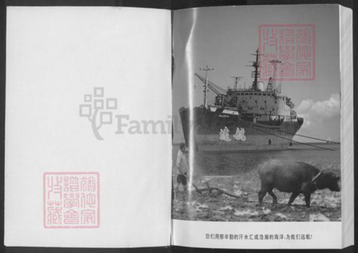 安徽省安庆市宿松县破凉镇燕氏族谱-燕氏宗谱.pdf电子版插图1