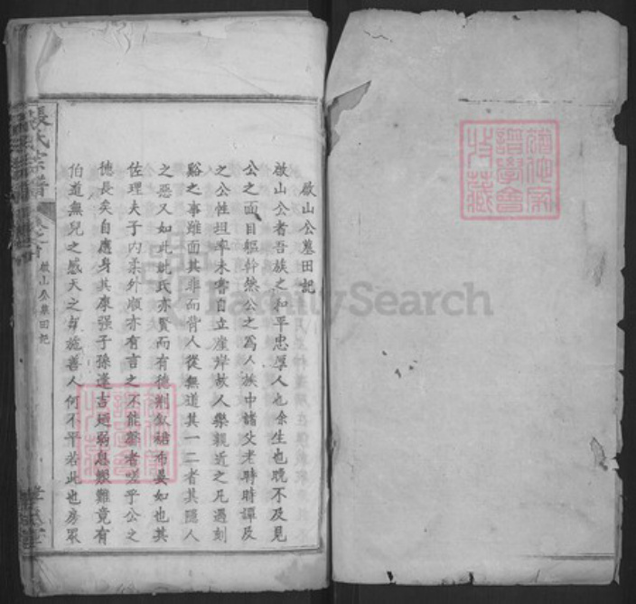 湖北省黄冈市浠水县巴河镇张氏孝友堂族谱-张氏宗谱.pdf电子版插图1