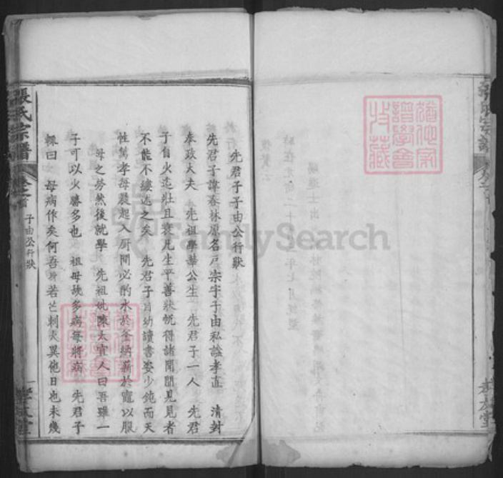 湖北省黄冈市浠水县巴河镇张氏孝友堂族谱-张氏宗谱.pdf电子版插图3