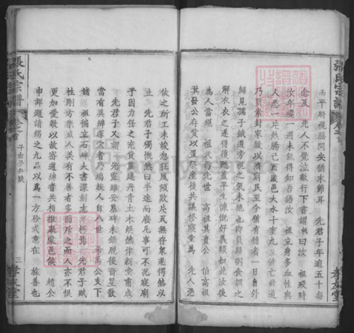 湖北省黄冈市浠水县巴河镇张氏孝友堂族谱-张氏宗谱.pdf电子版插图5