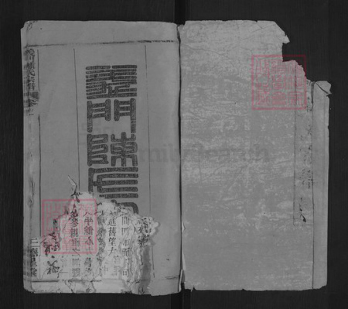 湖北省黄冈市武穴市陈氏德心堂族谱-义门陈氏宗谱.pdf电子版插图1