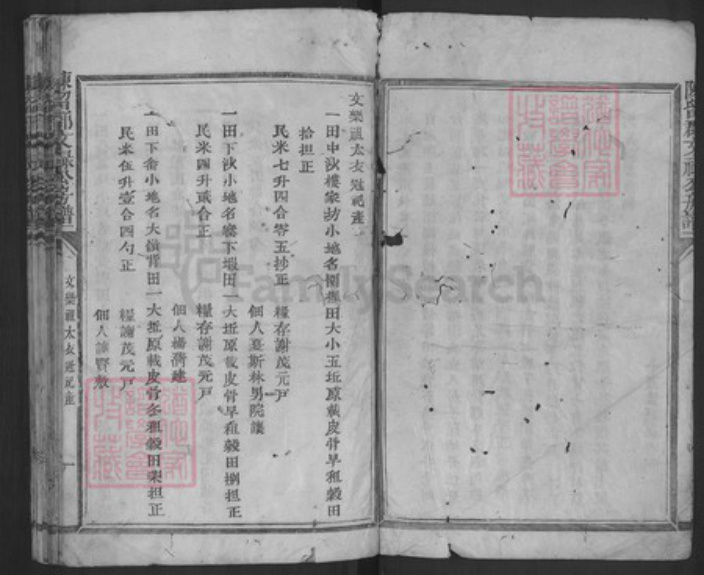 福建省三明市宁化县城南镇谢氏族谱-东留郡文禄公房谱.pdf电子版插图3