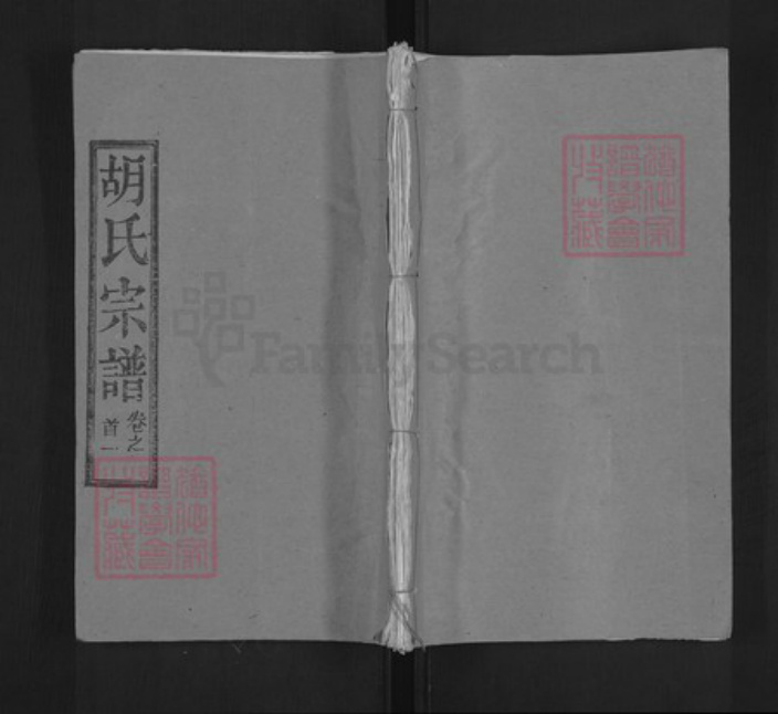 湖北省黄冈市罗田县胡氏安定堂族谱-胡氏宗谱.pdf电子版插图 湖北省黄冈市罗田县胡氏安定堂族谱-胡氏宗谱.pdf电子版插图