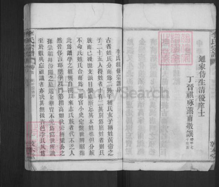 湖北省黄冈市麻城市白果镇李氏敦本堂族谱-李氏宗谱.pdf电子版插图5