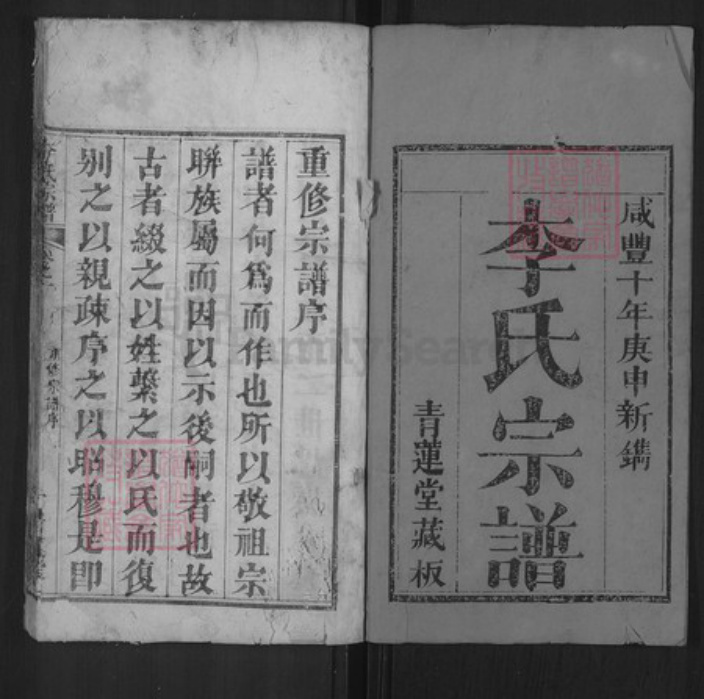 湖北省黄冈市红安县杏花乡李氏青莲堂族谱-李氏宗谱.pdf电子版插图1 湖北省黄冈市红安县杏花乡李氏青莲堂族谱-李氏宗谱.pdf电子版插图1