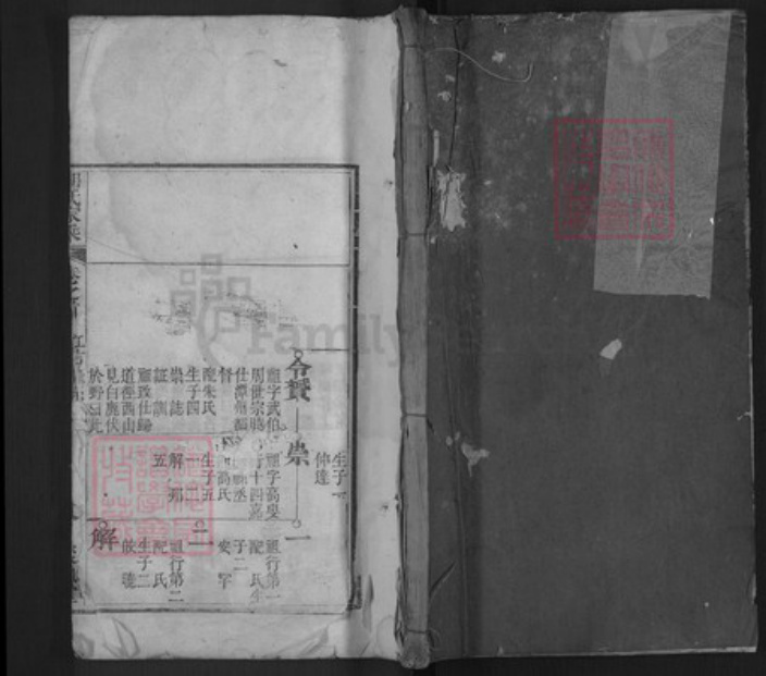 湖北省黄冈市浠水县巴河镇胡氏聚顺堂族谱-胡氏家乘.pdf电子版插图 湖北省黄冈市浠水县巴河镇胡氏聚顺堂族谱-胡氏家乘.pdf电子版插图