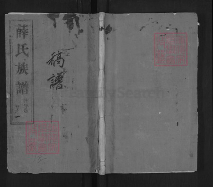 江苏省扬州市江都区薛氏族谱-薛氏宗谱.pdf电子版