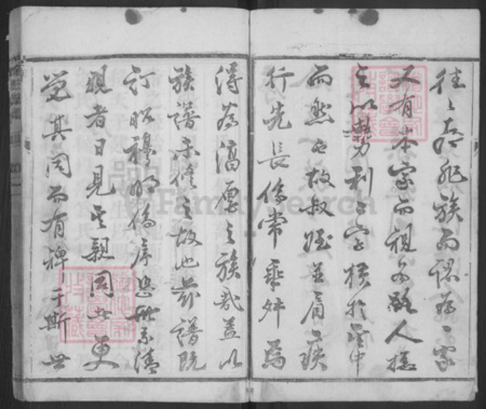 江苏省扬州市江都区薛氏族谱-薛氏宗谱.pdf电子版插图4