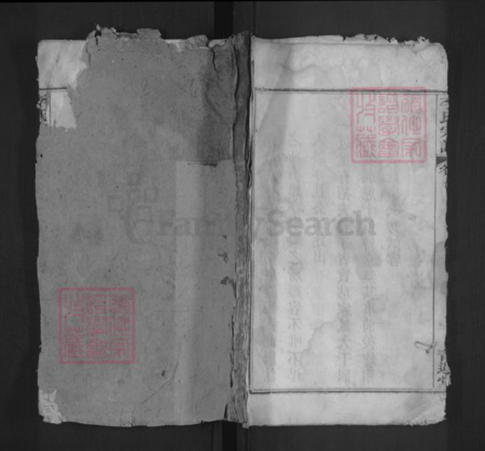 湖北省武汉市江夏区李氏青莲堂族谱-李氏宗谱.pdf电子版