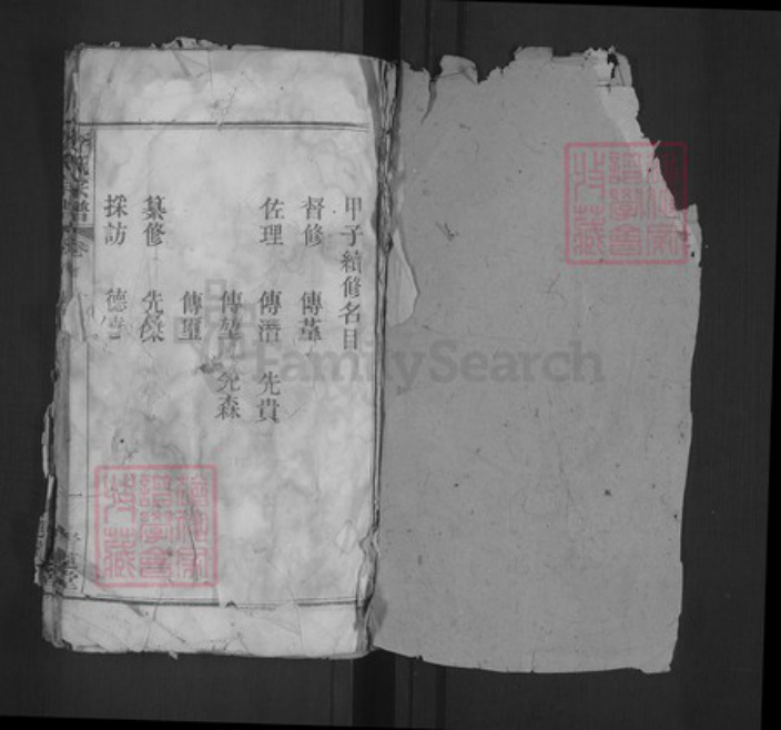 湖北省武汉市江夏区李氏青莲堂族谱-李氏宗谱.pdf电子版插图2