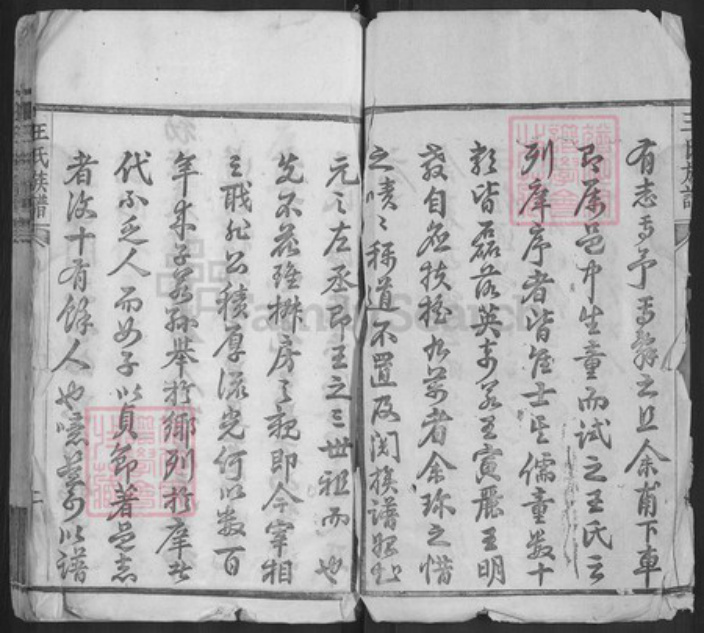 湖北省黄冈市黄州区王氏族谱-王氏族谱.pdf电子版插图2