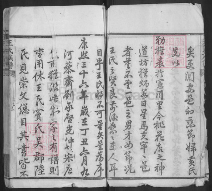 湖北省黄冈市黄州区王氏族谱-王氏族谱.pdf电子版插图3