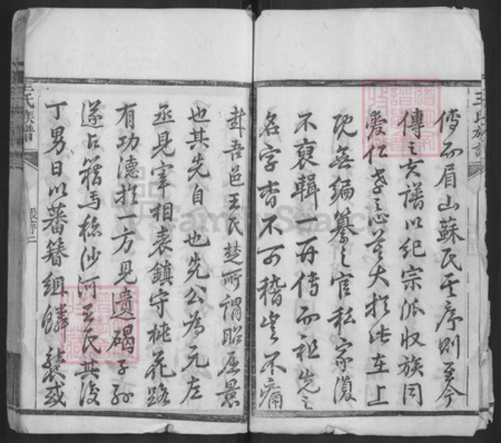 湖北省黄冈市黄州区王氏族谱-王氏族谱.pdf电子版插图5