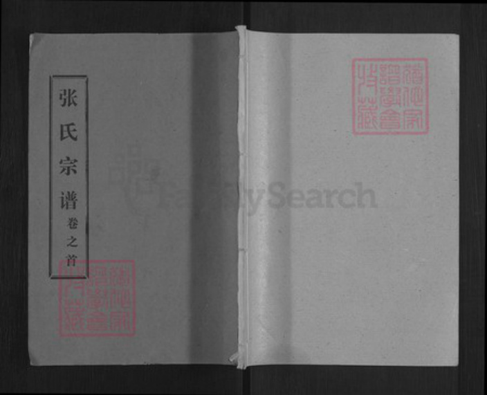 湖北省武汉市新洲区张氏百忍堂族谱-张氏宗谱.pdf电子版