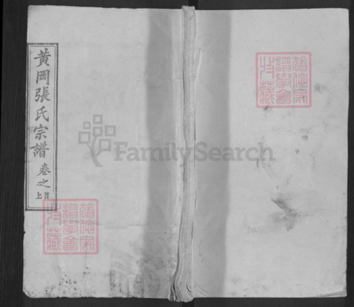 湖北省武汉市新洲区张氏金鉴堂族谱-黄冈张氏宗谱.pdf电子版