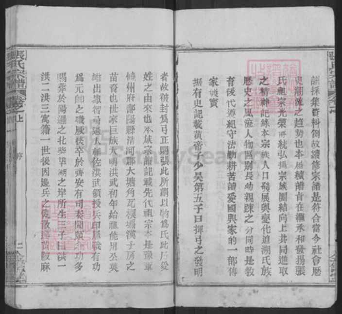 湖北省武汉市新洲区张氏金鉴堂族谱-黄冈张氏宗谱.pdf电子版插图2