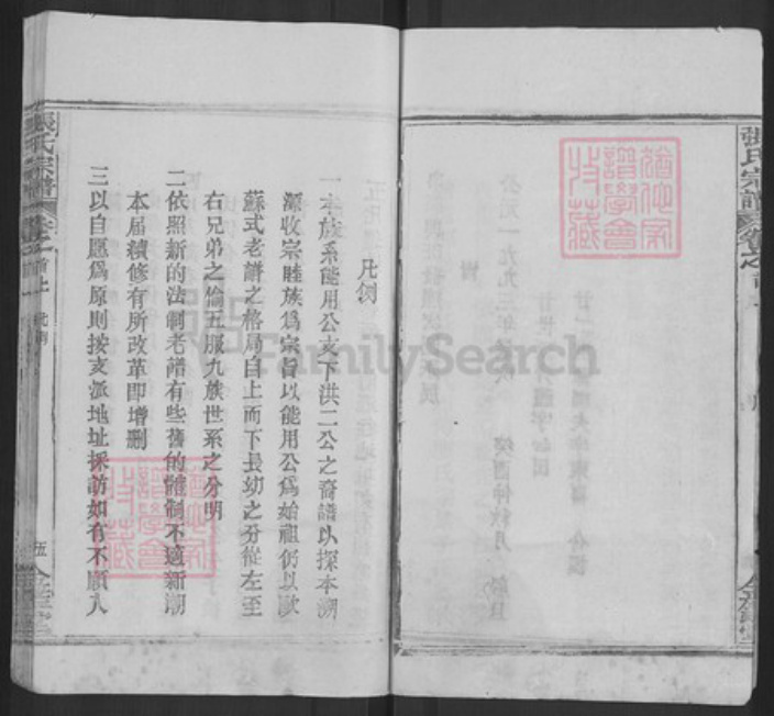 湖北省武汉市新洲区张氏金鉴堂族谱-黄冈张氏宗谱.pdf电子版插图5