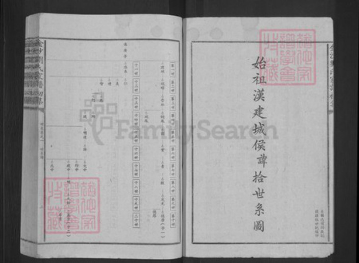江西省宜春市高安市筠阳街道刘氏族谱-金沙刘氏家谱.pdf电子版插图2