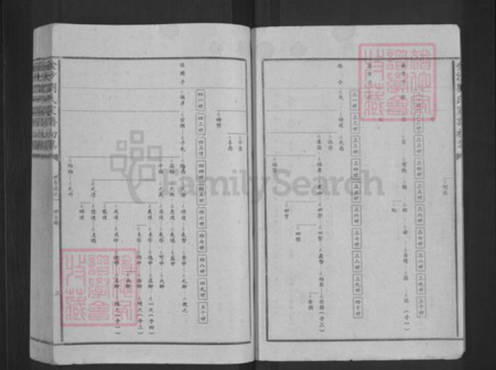 江西省宜春市高安市筠阳街道刘氏族谱-金沙刘氏家谱.pdf电子版插图3