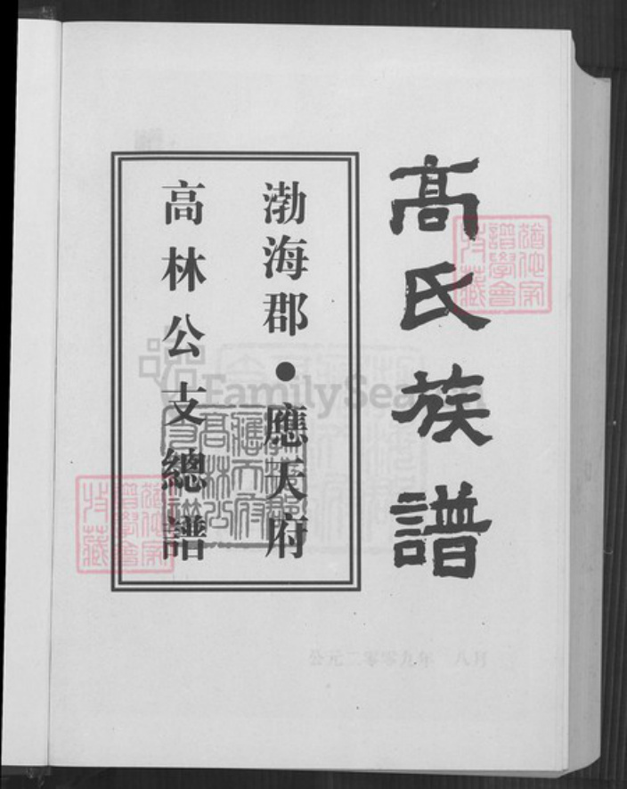 贵州省毕节市大方县大方镇高氏族谱-高氏族谱.勃海郡.应天府高林公支总谱.pdf电子版插图2