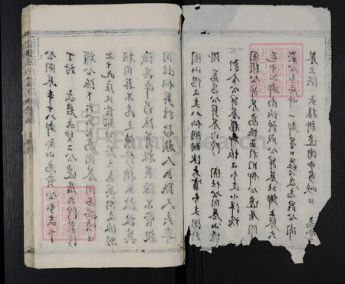 江西省上饶市玉山县怀玉乡陈氏族谱-懐玉陈氏宗谱.pdf电子版插图3