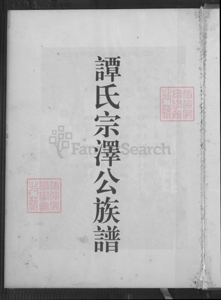 广东省云浮市罗定市谭氏族谱-谭氏宗泽公族谱.pdf电子版插图2