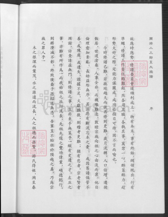 福建省龙岩市上杭县稔田镇游氏立雪堂族谱-闽游二三郎系大族谱.pdf电子版插图5