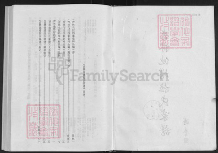 吉林省他塔拉氏族谱-吉林他塔拉氏家谱.pdf电子版插图2