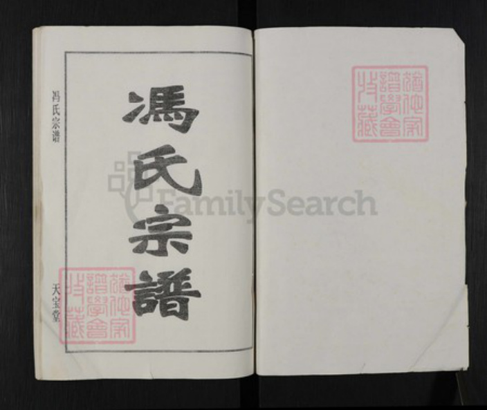 湖北省黄冈市团风县冯氏天宝堂族谱-冯氏宗谱.pdf电子版插图1