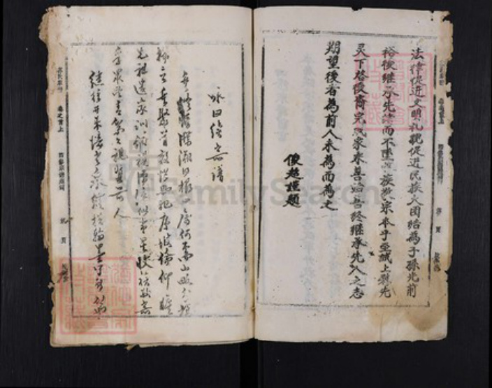 湖北省黄冈市麻城市苏氏敦伦堂族谱-苏氏宗谱.pdf电子版插图2