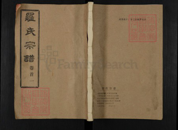 湖北省武汉市新洲区罗氏柏林堂族谱-罗氏宗谱.pdf电子版插图