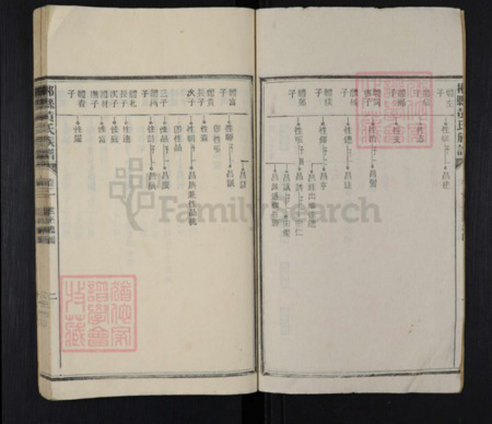 湖南省郴州市桂阳县黄氏族谱-郴县黄氏族谱.pdf电子版插图2