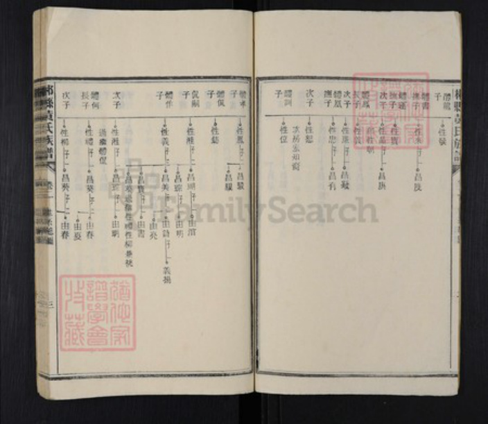 湖南省郴州市桂阳县黄氏族谱-郴县黄氏族谱.pdf电子版插图3