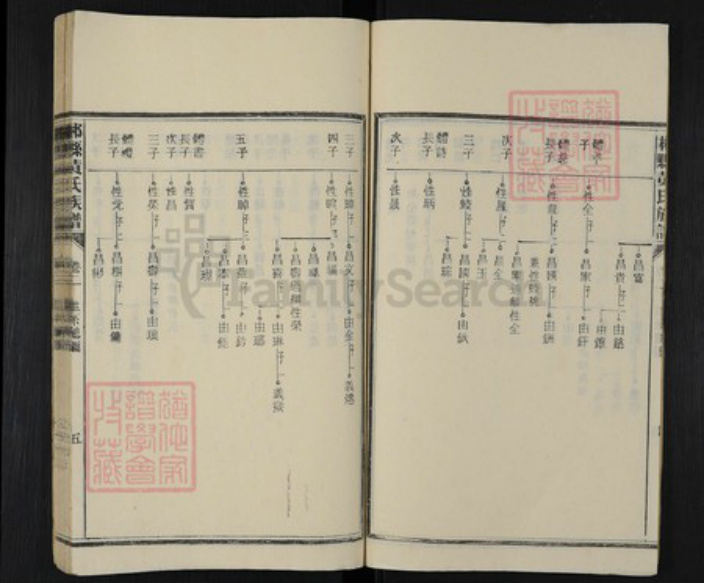 湖南省郴州市桂阳县黄氏族谱-郴县黄氏族谱.pdf电子版插图5
