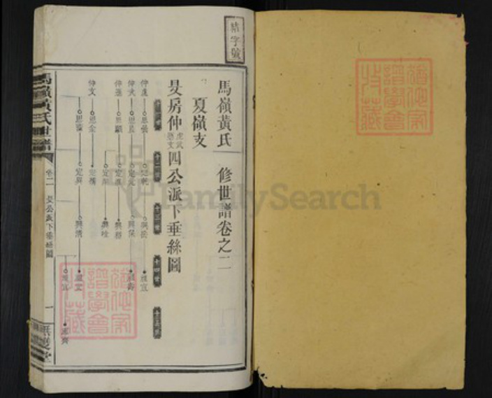 湖南省邵阳市邵阳县河伯乡黄氏无双堂族谱-马岭黄氏世谱.pdf电子版插图1
