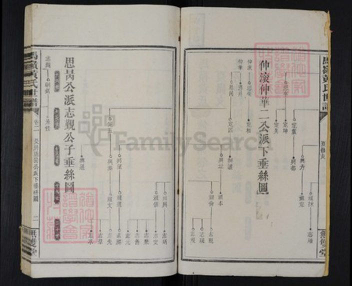 湖南省邵阳市邵阳县河伯乡黄氏无双堂族谱-马岭黄氏世谱.pdf电子版插图2