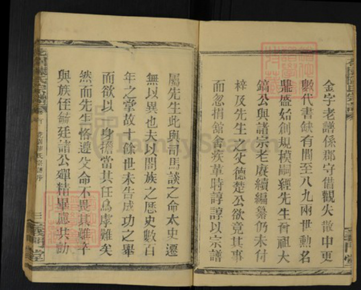 湖北省孝感市汉川市沉湖镇陈氏义门堂族谱-花园陈氏宗谱.pdf电子版插图3