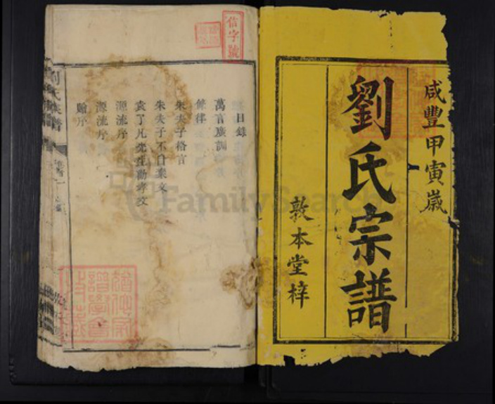 湖南省衡阳市刘氏敦本堂族谱-刘氏族谱.pdf电子版插图1