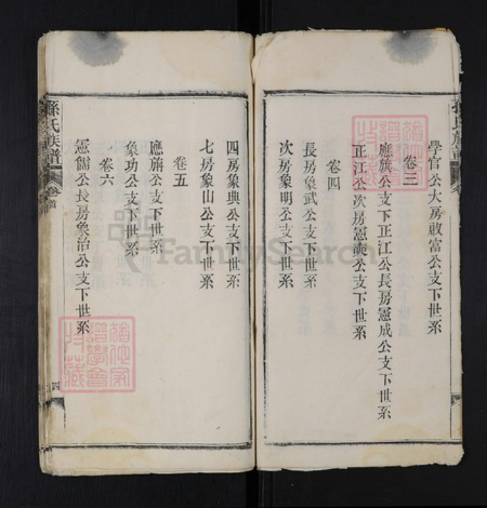 湖北省武汉市蔡甸区孙氏族谱-孙氏族谱.pdf电子版插图5